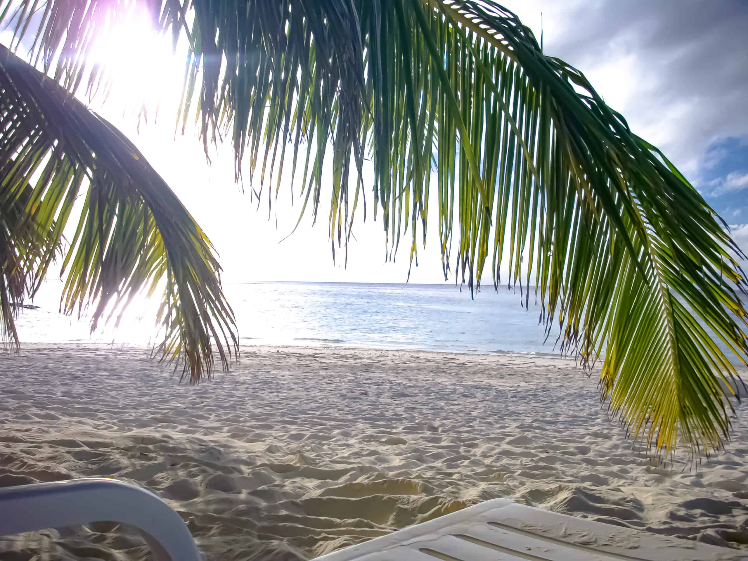 beach-palms-ocean-view-fihalhohi